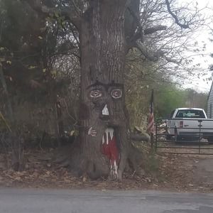 Meet your Posher, Tom